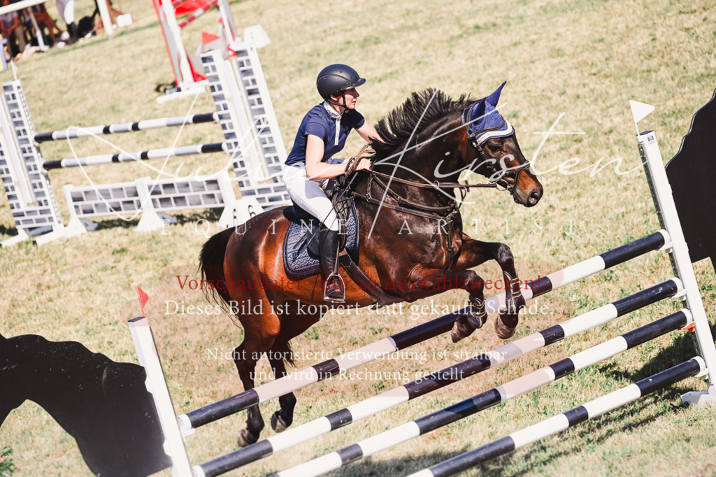 DSC_1836 | Pferde- und Turnierfotografie in Westsachsen. Pferdeportraits, Auftragszeichnungen und intuitive Kunst.