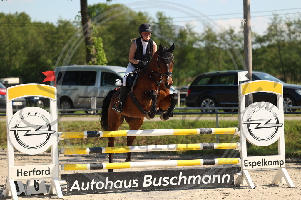 994A6121 | sabrinanicolaifotografie - Realisiert mit Pictrs.com