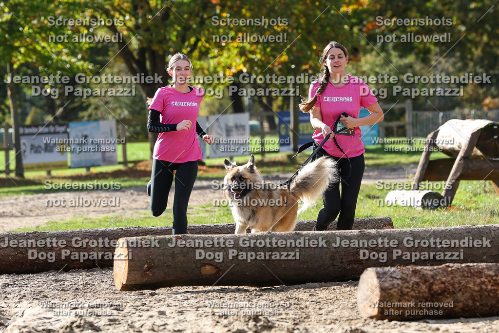 Dog Paparazzi - Strongdog 10-25-5801 | Dog Paparazzi Jeanette Grottendiek Fotografie & Videografie - Realisiert mit Pictrs.com