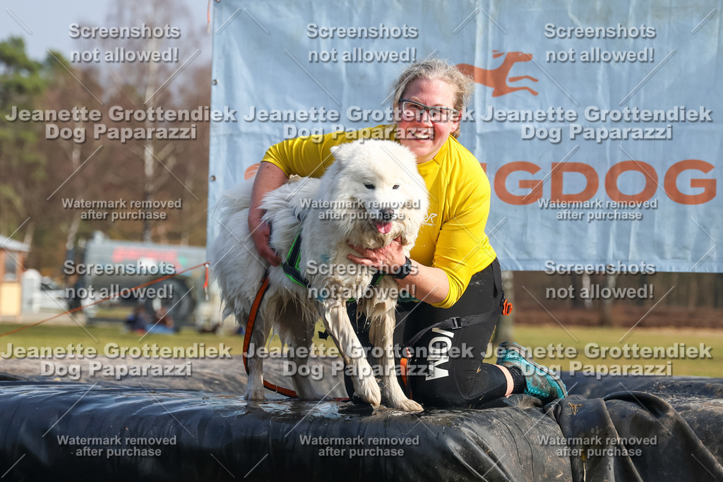 Dog Paparazzi - Strongdog North Mrz26-2243 | Dog Paparazzi Jeanette Grottendiek Fotografie & Videografie - Realisiert mit Pictrs.com