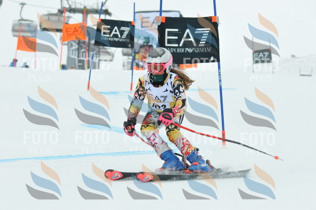 DSC_8076 | holidayphoto