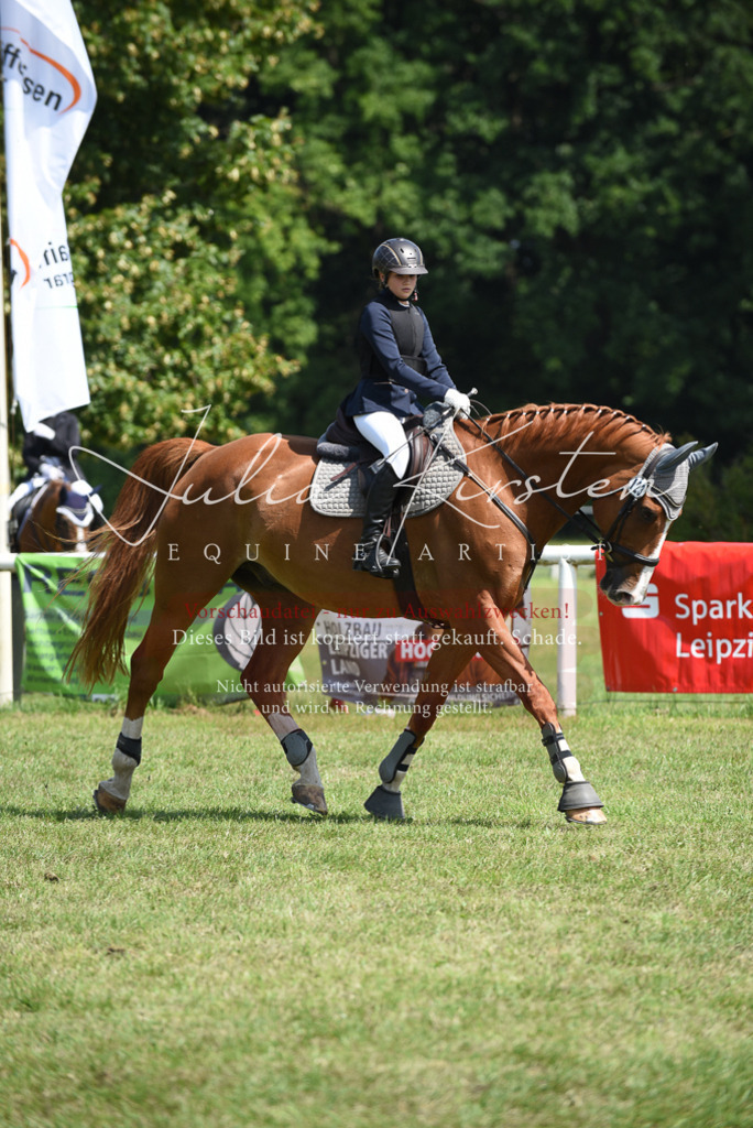 DSC_0077 | Pferde- und Turnierfotografie in Westsachsen. Pferdeportraits, Auftragszeichnungen und intuitive Kunst.