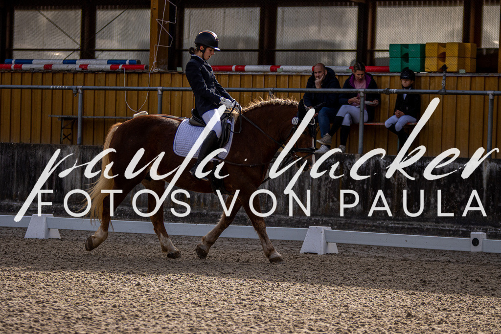 IMG_3469 | Erleben Sie dynamische Sport- und emotionale Tierfotografie in Süddeutschland mit Fotos von Paula. Spezialisiert auf Pferde- und Hundefotografie sowie Sportevents. Kontaktieren Sie mich für einzigartige und ausdrucksstarke Bilder Ihrer besonderen Momente. - Realisiert mit Pictrs.com
