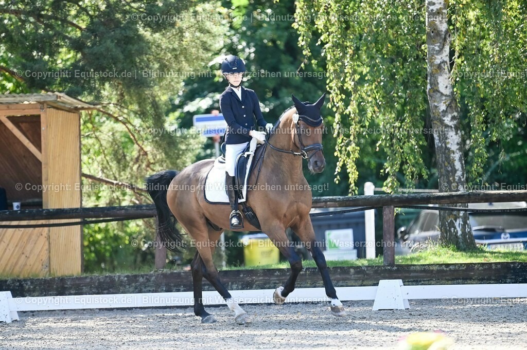 20230908_06_Dressur-L-Trense_0312 | equistock