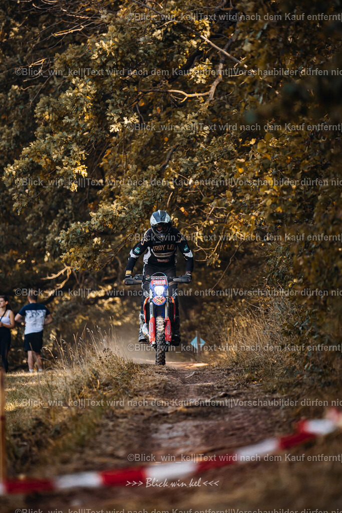 E68A6351 | blick_win_kel