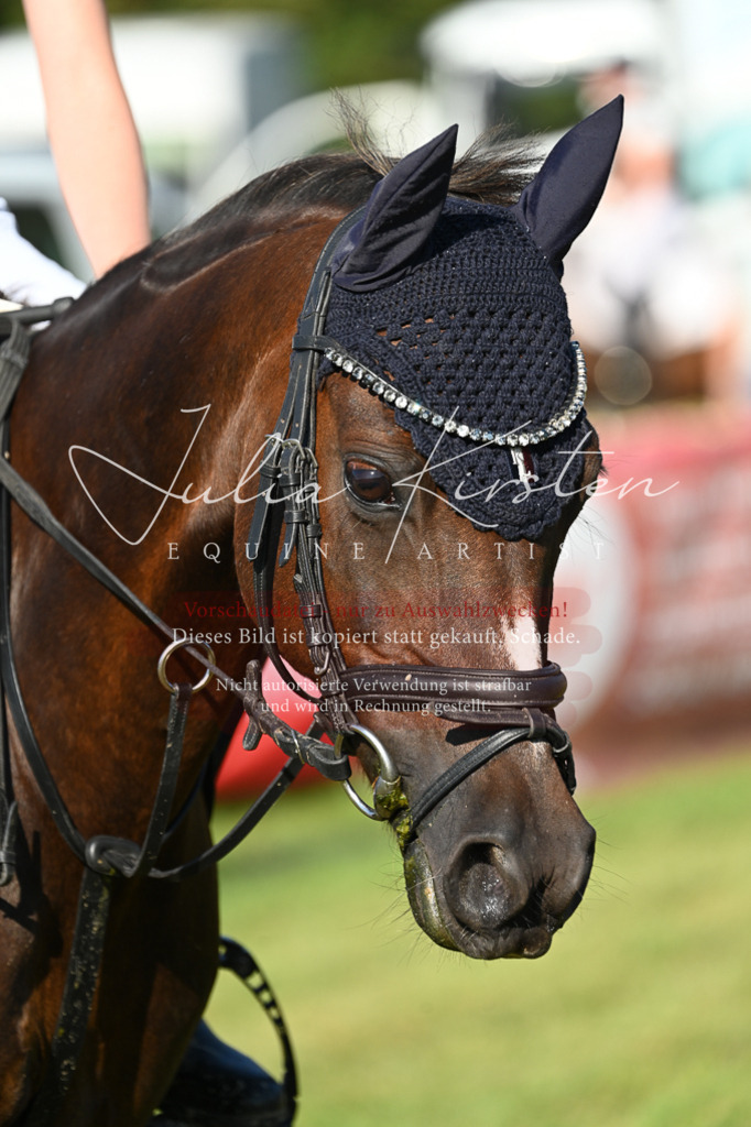 DSC_5006 | Pferde- und Turnierfotografie in Westsachsen. Pferdeportraits, Auftragszeichnungen und intuitive Kunst.