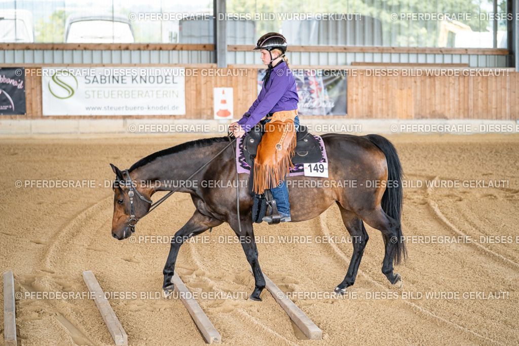 DSC01531 | Pferdegrafie