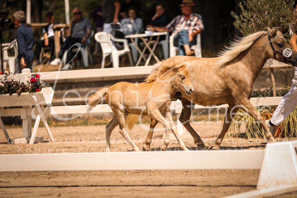 02.DoSR00029 | Leoni Ertmer Photography - Realisiert mit Pictrs.com