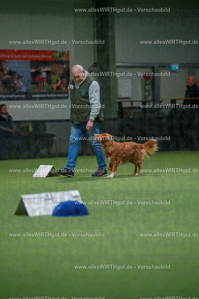 7R504364 | Professionelle Tierfotografie in Mönchengladbach von Daniel Wirth (allesWIRTHgut). Liebevolle & natürliche Bilder von Hunden & Katzen für unvergessliche Erinnerungen.