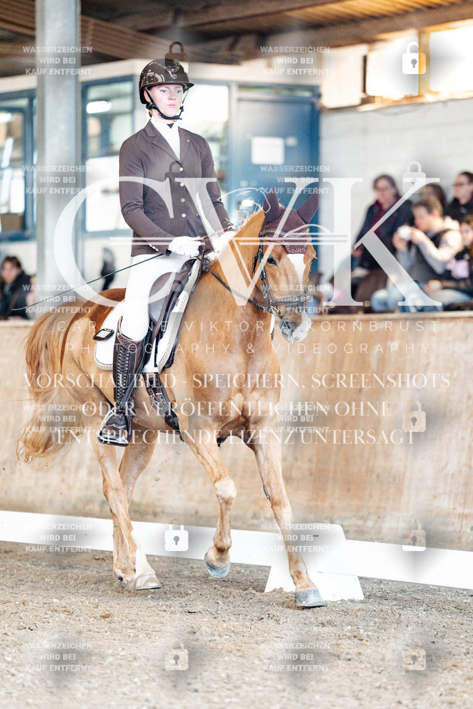 CK900805 | Turnierfotografie Pferdefotografie Trier Rheinland-Pfalz Pferdesport Reitsport Tierfotografie Sportfotografie Pferdevideo Pferdevideografie Equestrianvideography equestrianphotography  - Realisiert mit Pictrs.com