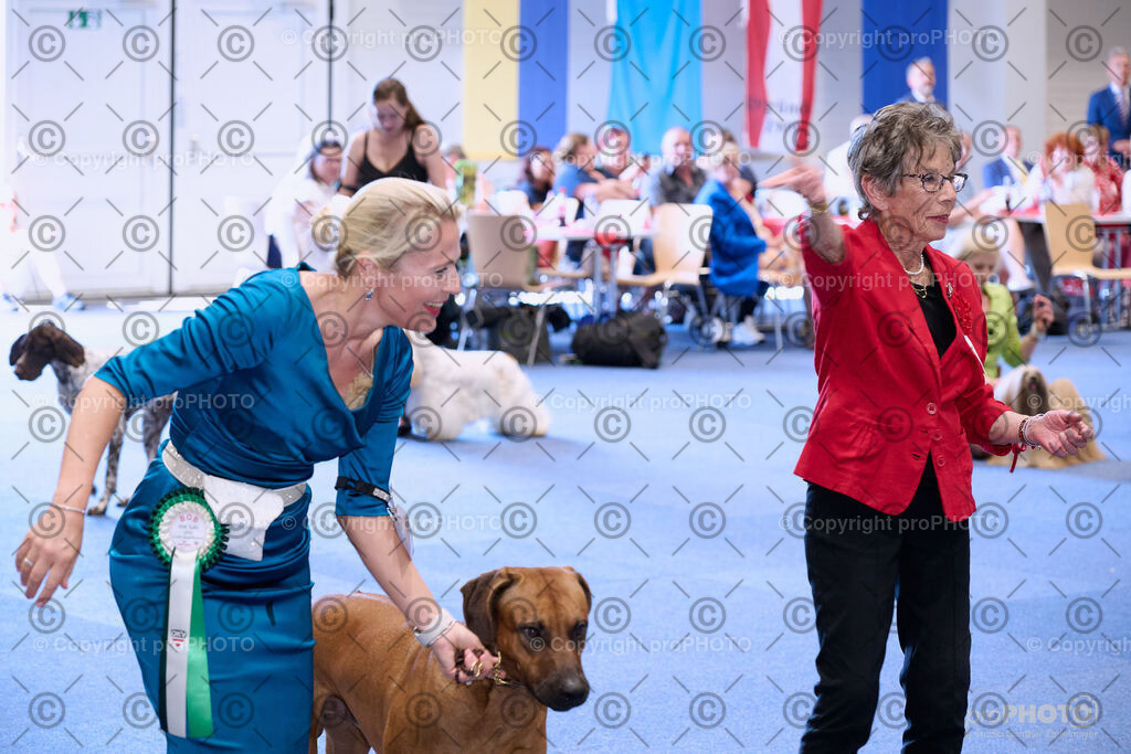 202406_ÖKV-IHA-Tulln24_NZ9_8803 | proPHOTO - Realisiert mit Pictrs.com