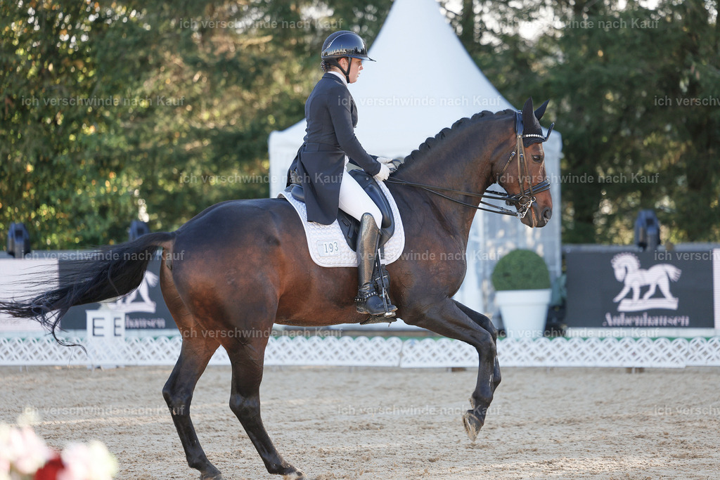 09_1-193-DRESSUR  S_  -StoibPH-5488 | working equitationturnier fotograf videograf stoibphotography marixx film working equitation deutschland reitsport turnierfotografie eventfotografie equestrian events
