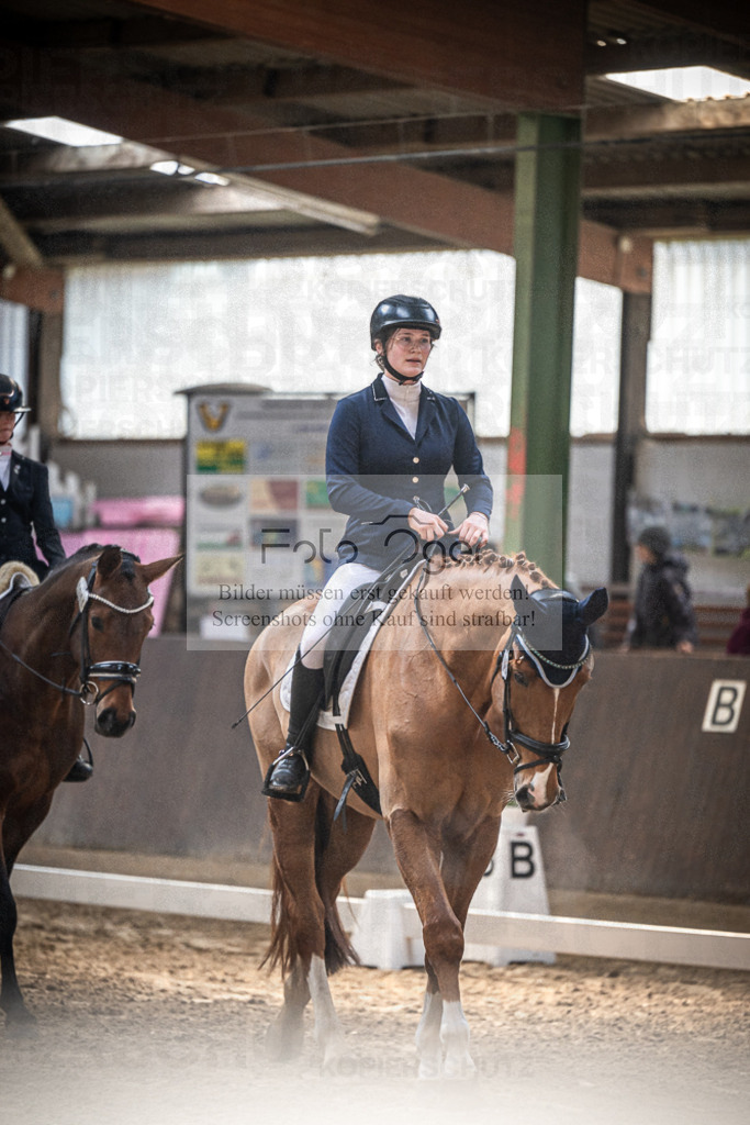 DOS_0450 | Entdecke hochwertige Reitturnierfotos von Foto Oger. Professionell, emotional und authentisch – jetzt Lieblingsmomente im Shop bestellen.Deutschlandweite Turnierfotografie. - Realisiert mit Pictrs.com