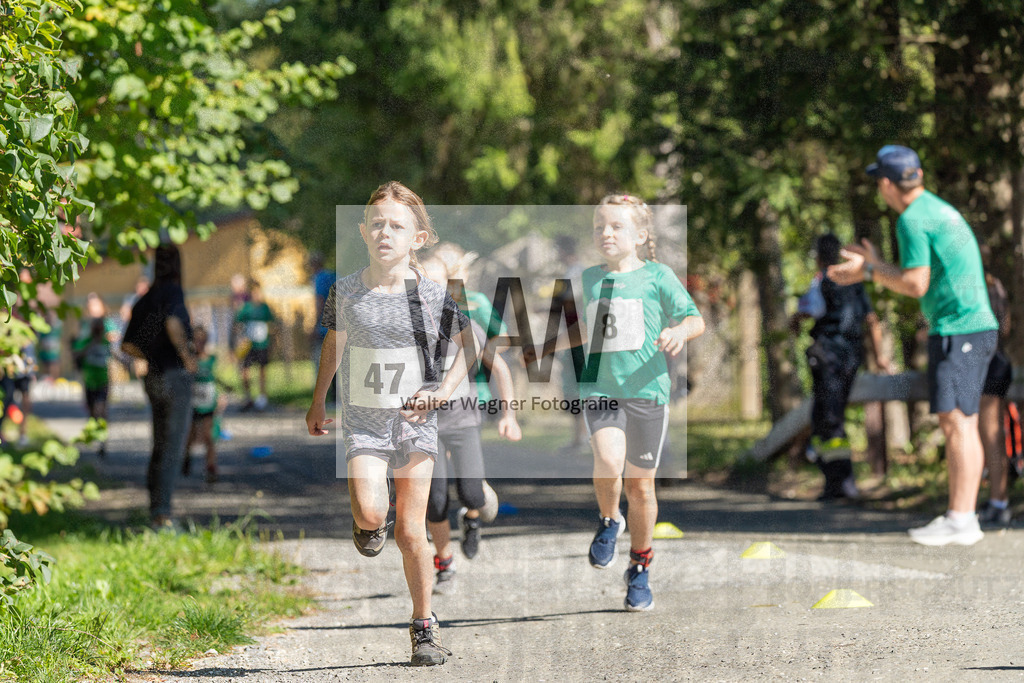 1WW04215 | walter-wagner-fotografie