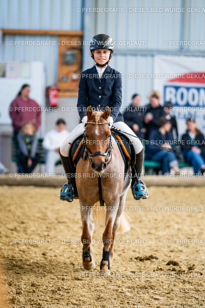 DSC02356 | Pferdegrafie