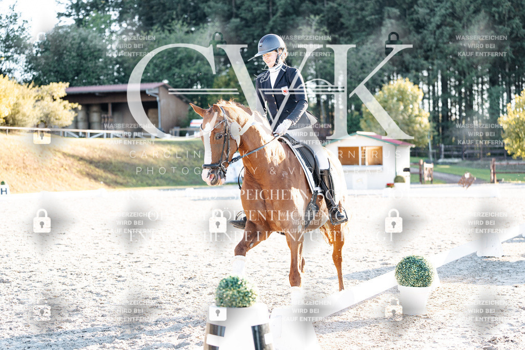 CK907273 | Turnierfotografie Pferdefotografie Trier Rheinland-Pfalz Pferdesport Reitsport Tierfotografie Sportfotografie Pferdevideo Pferdevideografie Equestrianvideography equestrianphotography  - Realisiert mit Pictrs.com