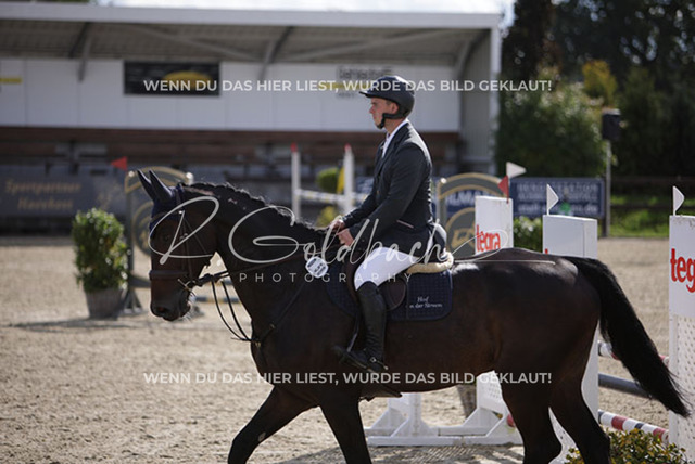 1J2A7717Cedric Becat_ Bismarck von der Streem_ Kn058_ Havekost | Foto- und Videografie für alles rund ums Pferd. Hochwertige Bilder und Videos vom Spring- und Dressurreiten, Voltigieren & mehr. Jetzt aktuelle Veranstaltungen und Preise im Shop ansehen. - Realisiert mit Pictrs.com