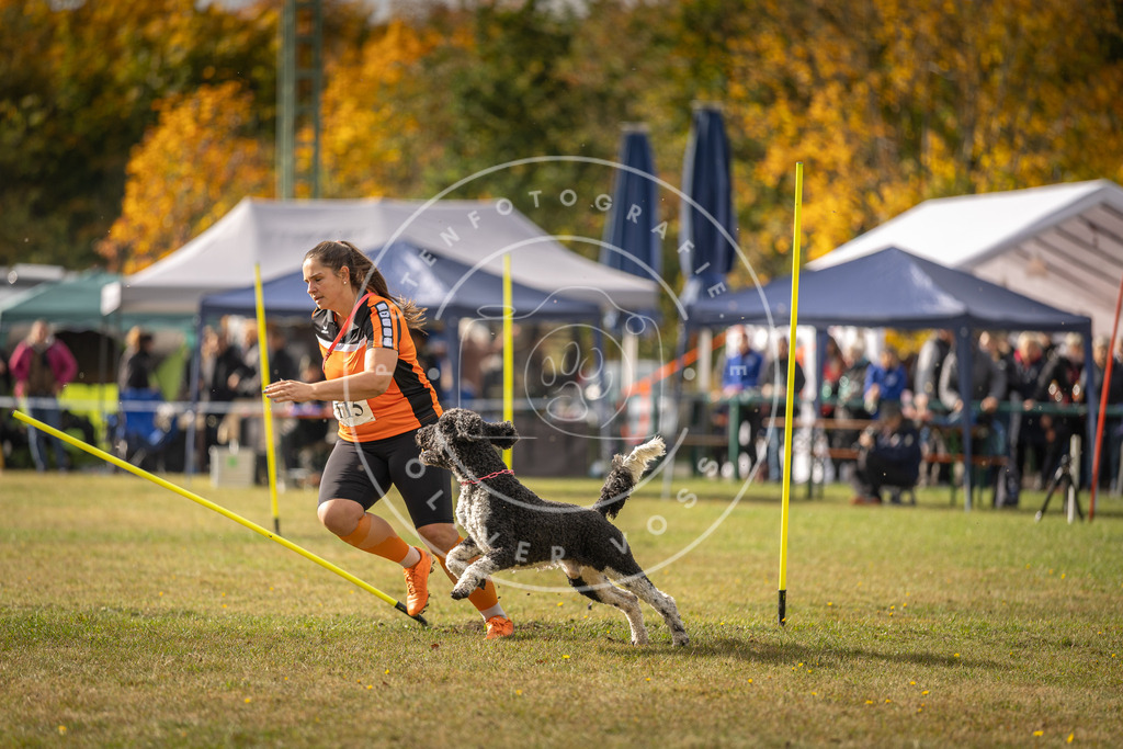 Pfotenfotografie_DV3A7037 | Hundefotografie, Tierfotograf, Pfotenfotografie, Fotoshooting Hund, Hunde Portrait, Hundesport, Hundeportraits, Heideshooting, Hunde, Sportfotograf, Hundefotograf, Turnierhundsport, THS,  - Realisiert mit Pictrs.com