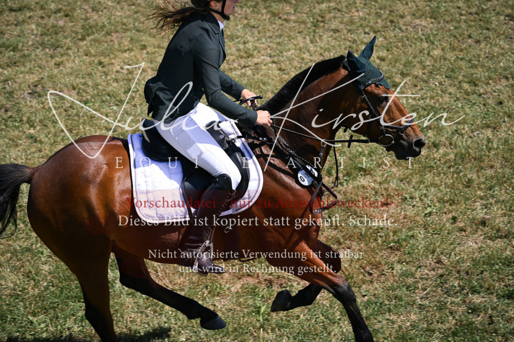 DSC_0025 | Pferde- und Turnierfotografie in Westsachsen. Pferdeportraits, Auftragszeichnungen und intuitive Kunst.