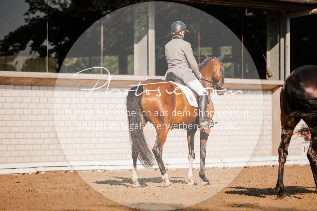 3I6A8810 | Stimmungsvolle Portraits und Reitsportfotografie im Ruhrgebiet und im Münsterland.

Pferdefotografie, Hundefotografie, Tierfotografie, Reportagen, Portraits von Tier und Mensch, Turnierfotografie in Bochum, Recklinghausen, Marl, Haltern am See, Dülmen.. - Realisiert mit Pictrs.com