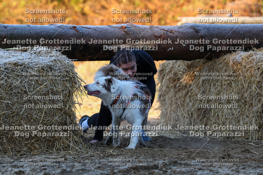 Dog Paparazzi - Strongdog 10-25-481 | Dog Paparazzi Jeanette Grottendiek Fotografie & Videografie - Realisiert mit Pictrs.com