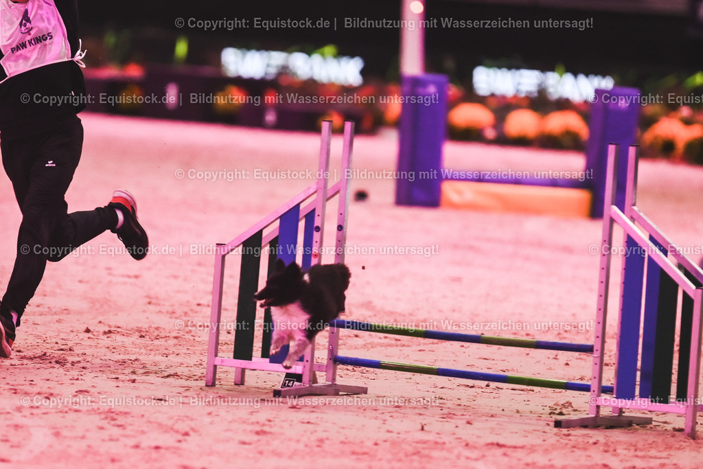 20241113_Showabend_TOMsPiC_0310 | Foto: Thomas Hartig