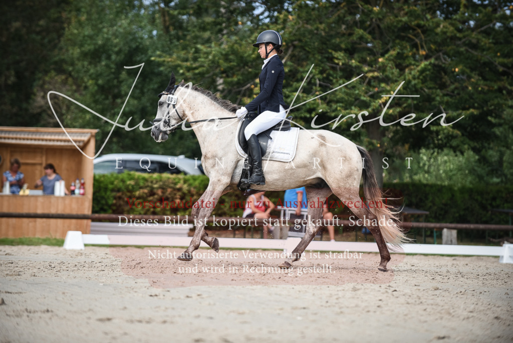 DSC_8682 | Pferde- und Turnierfotografie in Westsachsen. Pferdeportraits, Auftragszeichnungen und intuitive Kunst.