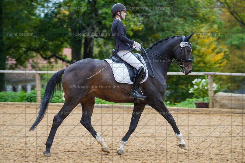 20221008-FAH01755 | Diessen am Ammersee, 2022, Dressur- und Springturnier, Reitsportbilder, Turnierfotografen Bayern, Pferdefotografen, Fotoagentur Herrmann, Turnierbilder