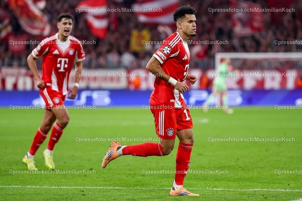 UCL22102501053 | 22.10.2025, Fußball, UEFA Champions League, FC Bayern München - Club Brügge, Allianz Arena, Saison 2025 2026: Torjubel nach dem Tor zum 3:0 durch Torschütze Luis Diaz (FC Bayern Muenchen #14)   Regulations prohibit any use of photographs as image sequences and or quasi-video.