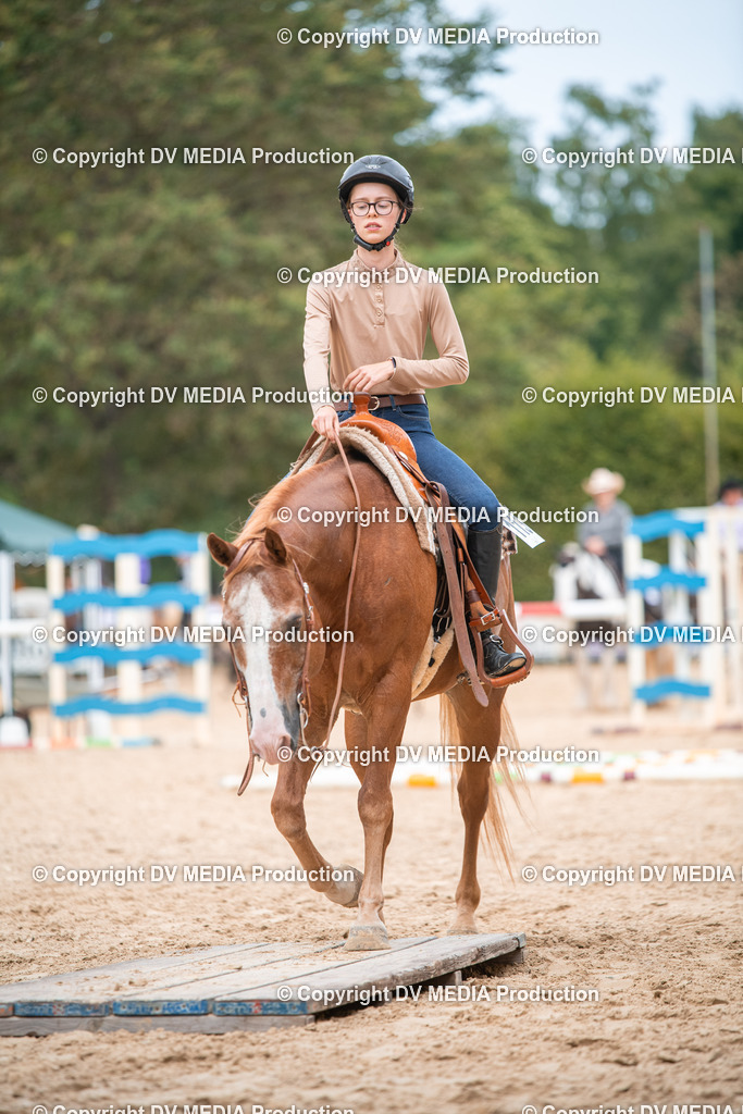 ZS2_8090 | dv-media-shop - Realisiert mit Pictrs.com