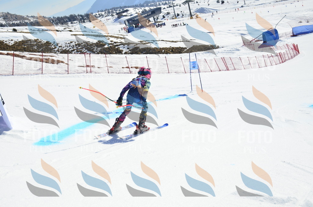 _ELE9884 | holidayphoto