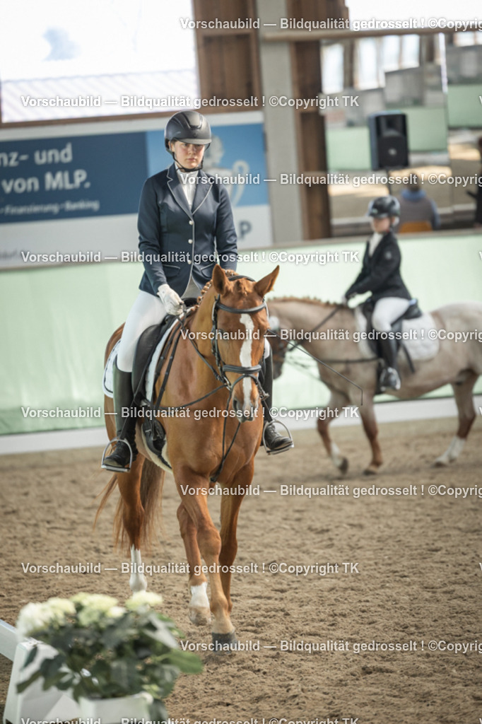 _D5A5578 | Emotionale Pferde- & People-Fotografie rund um Heidelberg, Leimen & Umgebung. Natürliche Fotos von Pferd, Mensch & Familie. Jetzt Termin sichern!