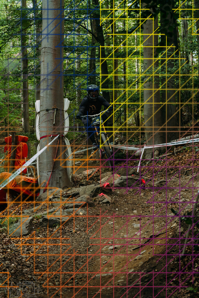 PAE-2420 | Einzigartige Fotokunst für dein Zuhause: Entdecke hochwertige Wandbilder, edle Prints und emotionale Motive von Wildlife, Natur und Landschaften - Realisiert mit Pictrs.com