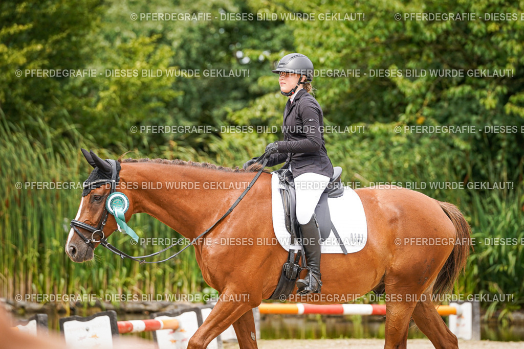 DSC04695 | Pferdegrafie