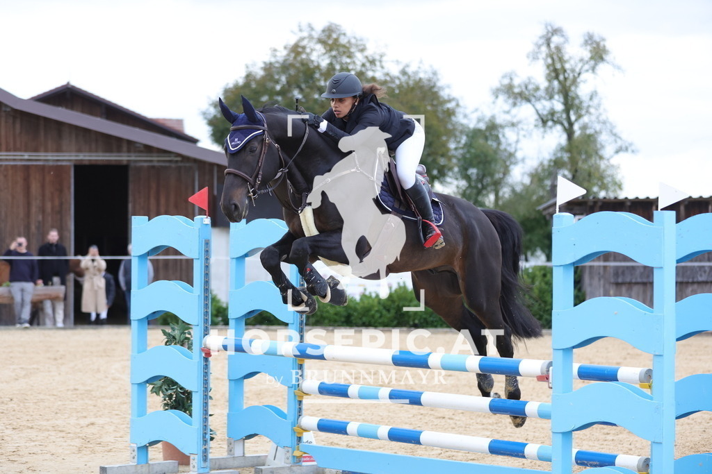 0P6A0130 | Willkommen bei Brunnmayr - Design & Fotografie – Ihrem Spezialisten für Reitturniere und Pferdeveranstaltungen in Oberösterreich, Salzburg und Bayern! Seit über 17 Jahren sind wir leidenschaftlich dabei.