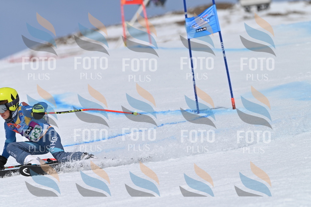 BGV_3590 | holidayphoto