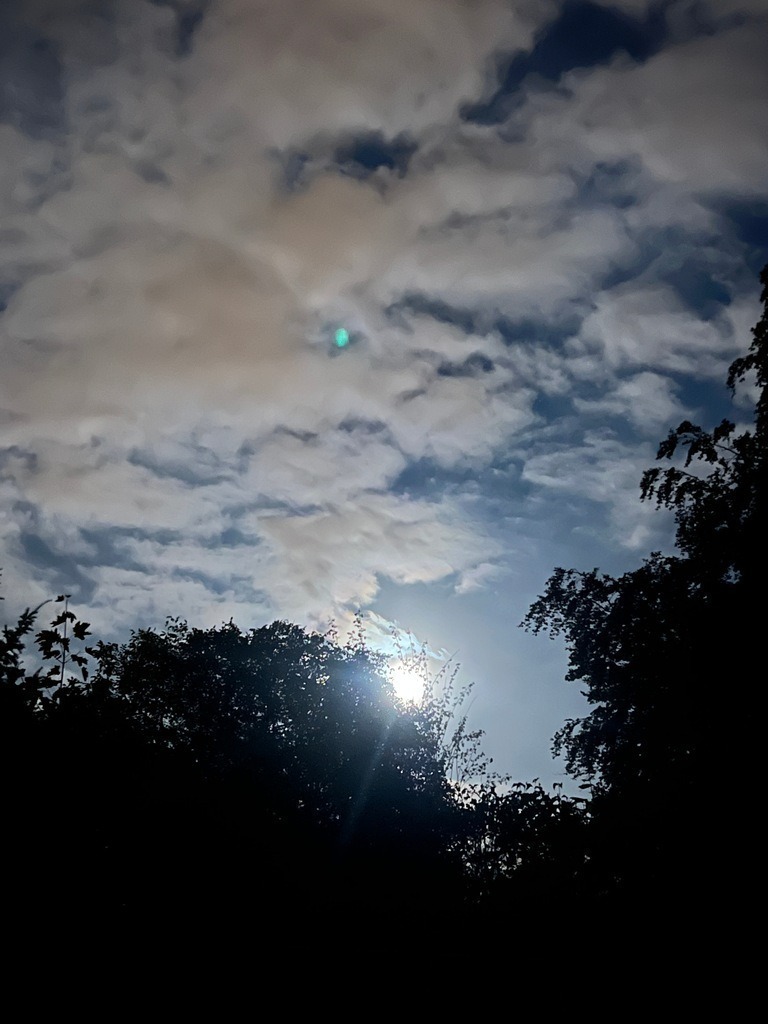 IMG_8869 | ace - Realisiert mit Pictrs.com