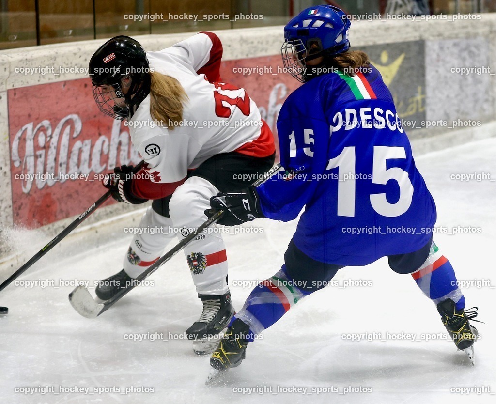 MOWE5230 | hockey sports photos, Pressefotos, Sportfotos, hockey247, win 2day icehockeyleague, Handball Austria, Floorball Austria, ÖVV, Kärntner Eishockeyverband, KEHV, KFV, Kärntner Fussballverband, Österreichischer Volleyballverband, Alps Hockey League, ÖFB, 