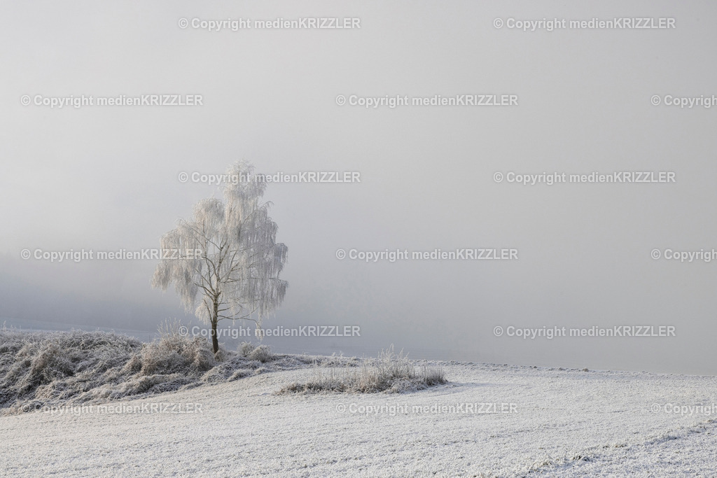 _J3A6654 | medienkrizzler - Realisiert mit Pictrs.com