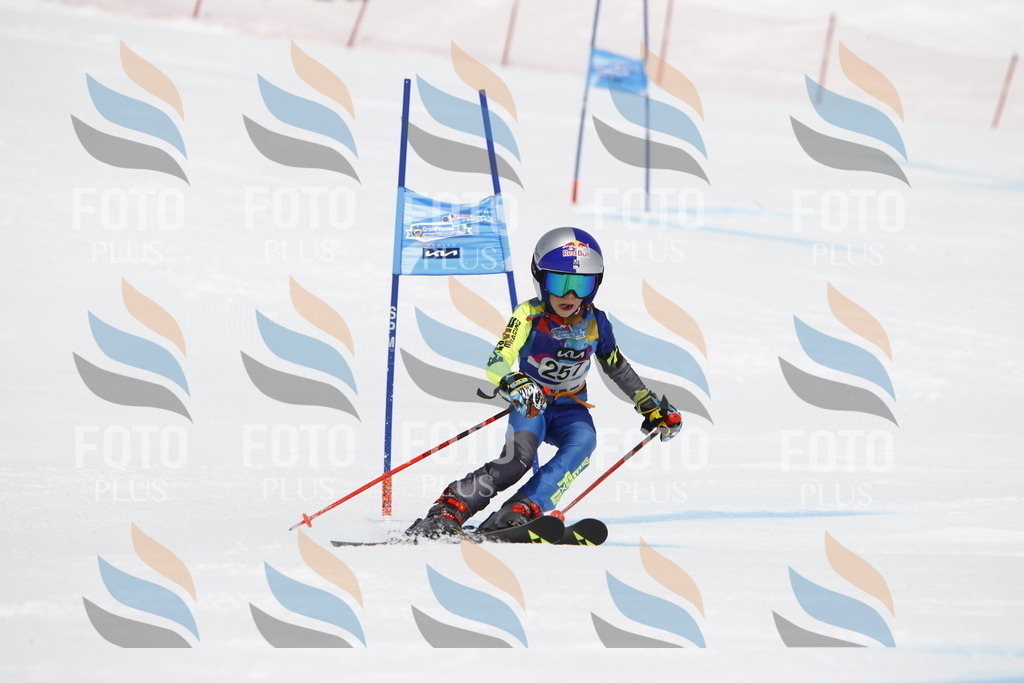 _U3G6456 | holidayphoto