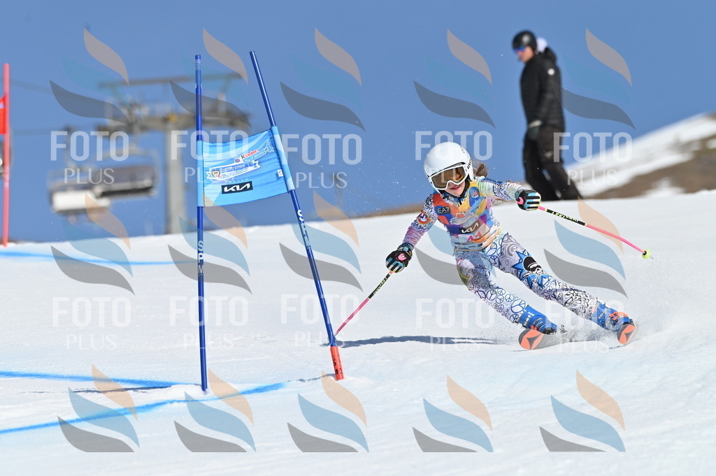 BGV_8371 | holidayphoto