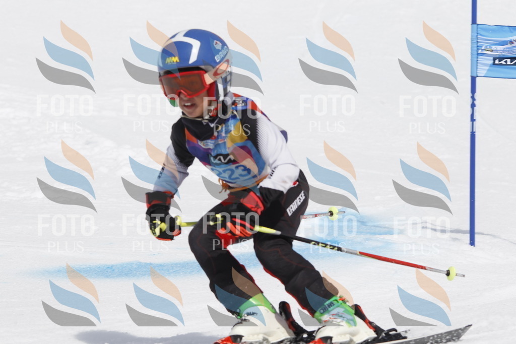 _U3G2434 | holidayphoto