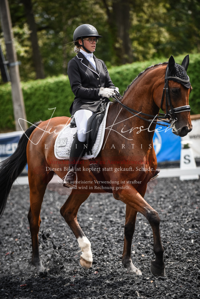 DSC_4974 | Pferde- und Turnierfotografie in Westsachsen. Pferdeportraits, Auftragszeichnungen und intuitive Kunst.