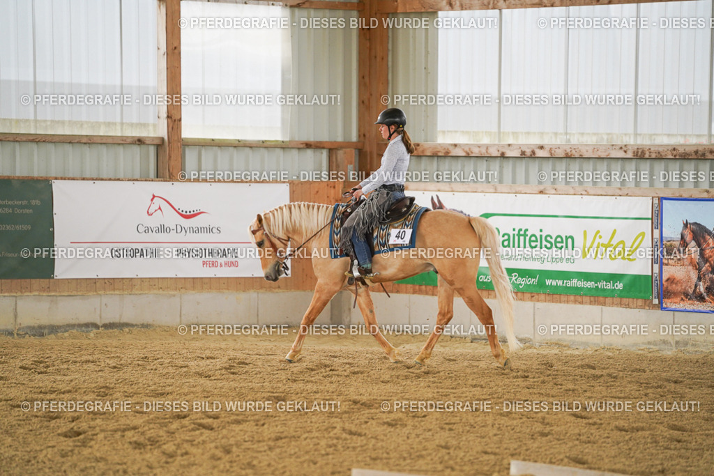 DSC03494 | Pferdegrafie