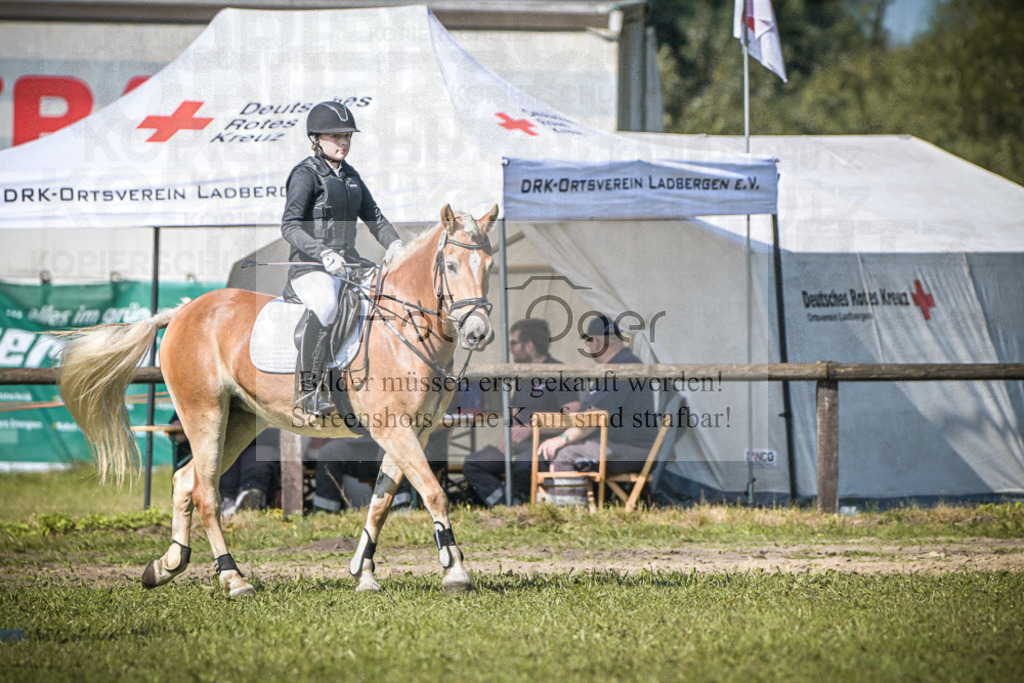 DOS_0060 | Entdecke hochwertige Reitturnierfotos von Foto Oger. Professionell, emotional und authentisch – jetzt Lieblingsmomente im Shop bestellen.Deutschlandweite Turnierfotografie. - Realisiert mit Pictrs.com