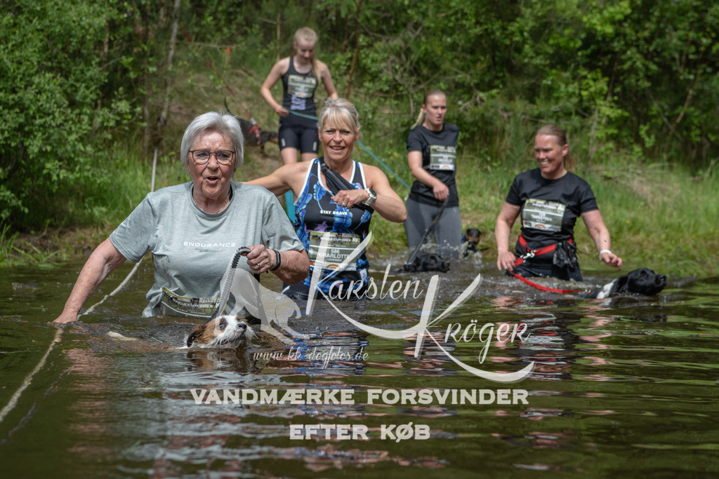 1123DKK990117 | kk-dogfotos