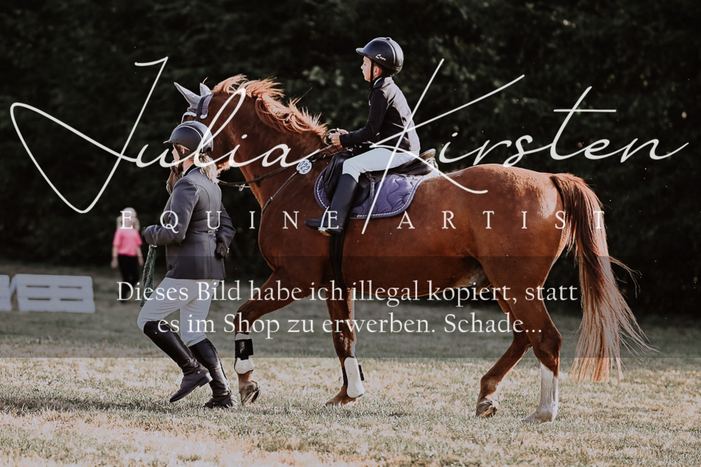 DSC_0079 | Pferde- und Turnierfotografie in Westsachsen. Pferdeportraits, Auftragszeichnungen und intuitive Kunst.