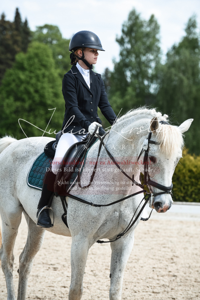 20230518_JK-Röhrsdorf-11-0636 | Pferde- und Turnierfotografie in Westsachsen. Pferdeportraits, Auftragszeichnungen und intuitive Kunst.