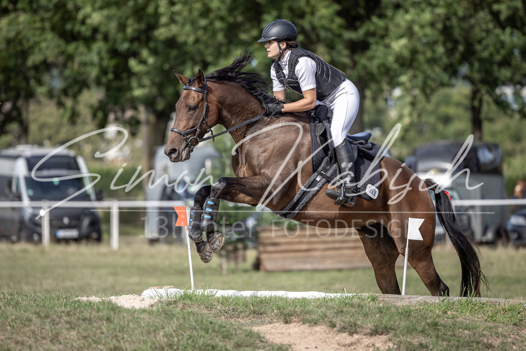 20250907-_3LI9568 | Tierfotografie Pferde, Hunde, Katzen, Haustiere.
Turnierfotografie Reitturniere, Reiten, Springreiten, Dressur in Hanau, dem Main-Kinzig-Kreis und dem Rhein-Main- Gebiet um Frankfurt