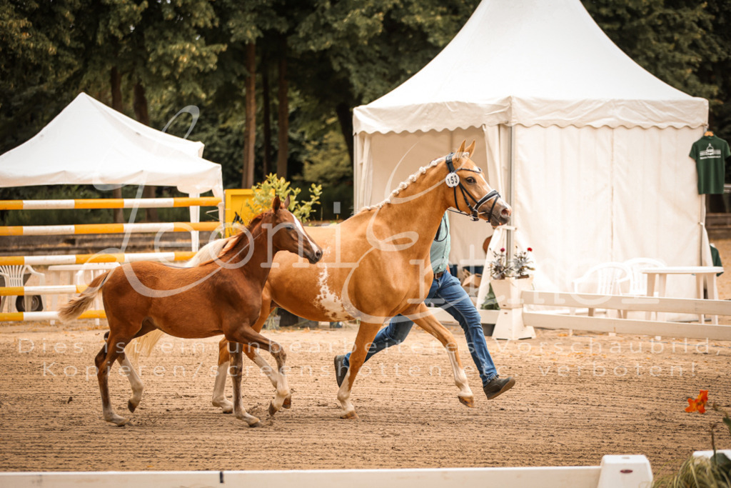 07.So00058 | Leoni Ertmer Photography - Realisiert mit Pictrs.com